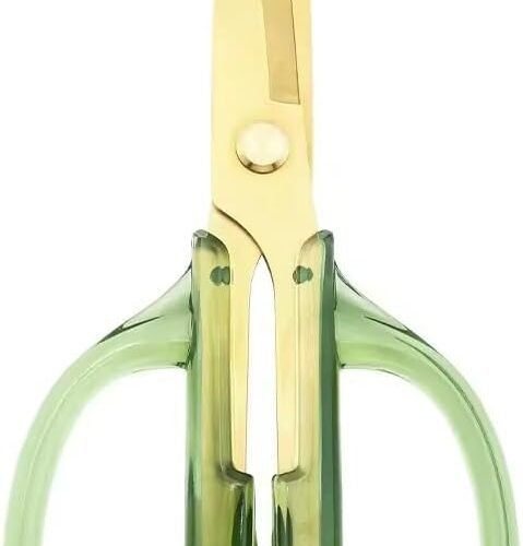 Kitchen Shears and Sharp Scissors, Stainless Steel Utility Scissor for Meat and Poultry, Dishwasher Safe